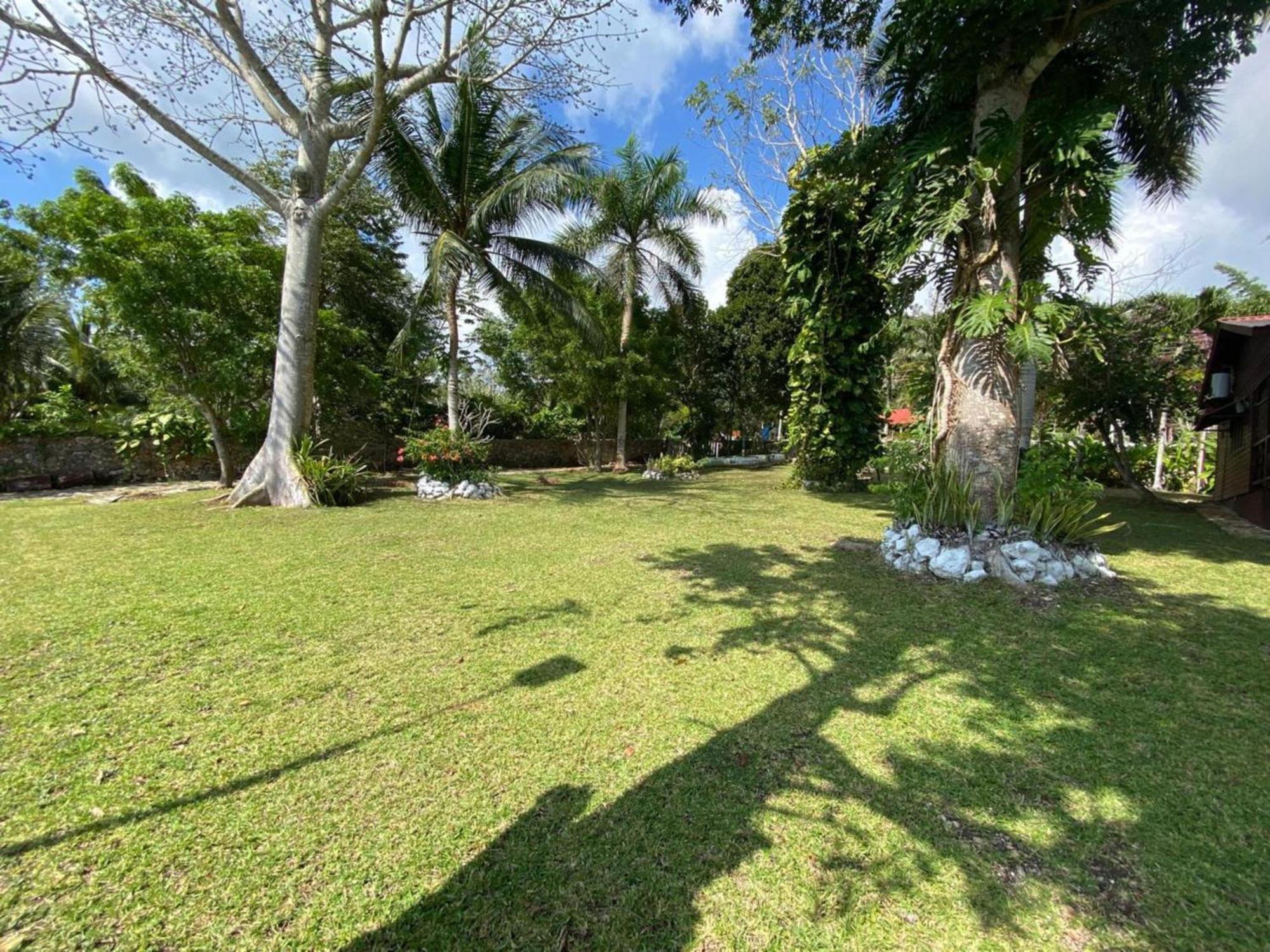 Coras Place Bacalar Lagoon Front Apartment Exterior photo